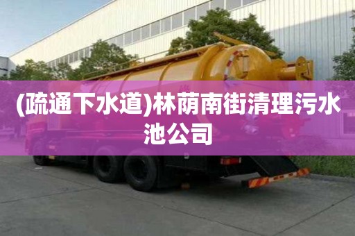 (疏通下水道)林蔭南街清理污水池公司