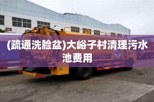 (疏通洗臉盆)大峪子村清理污水池費用