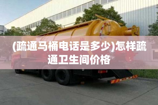 (疏通馬桶電話是多少)怎樣疏通衛生間價格