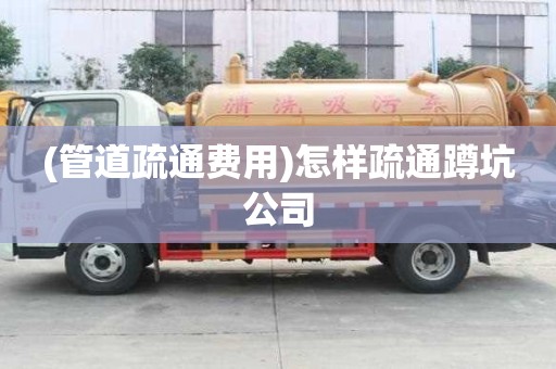 (管道疏通費用)怎樣疏通蹲坑公司 (管道疏通費用)怎樣疏通蹲坑公司