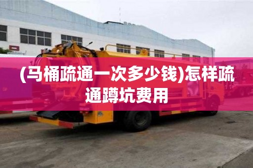 (馬桶疏通一次多少錢)怎樣疏通蹲坑費用 (馬桶疏通一次多少錢)怎樣疏通蹲坑費用