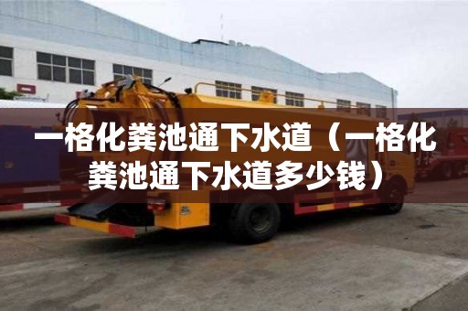 一格化糞池通下水道（一格化糞池通下水道多少錢）