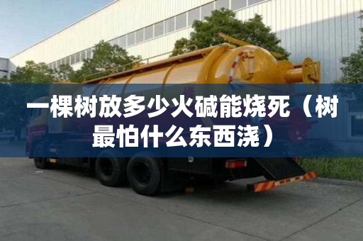 一棵樹放多少火堿能燒死（樹最怕什么東西澆）