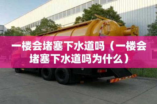 一樓會堵塞下水道嗎（一樓會堵塞下水道嗎為什么）