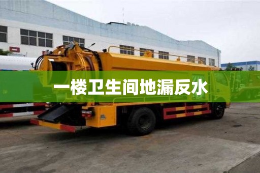 一樓衛(wèi)生間地漏反水 一樓衛(wèi)生間地漏反水
