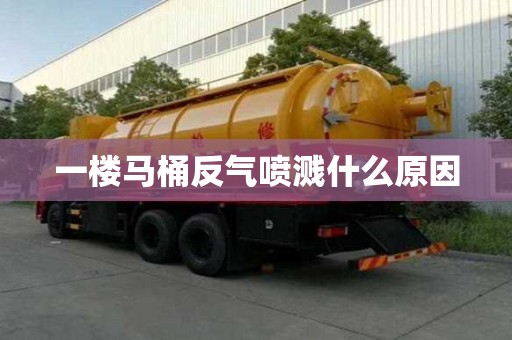 一樓馬桶反氣噴濺什么原因 一樓馬桶反氣噴濺什么原因