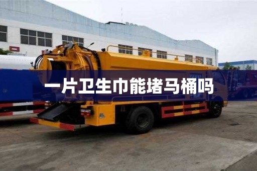 一片衛(wèi)生巾能堵馬桶嗎