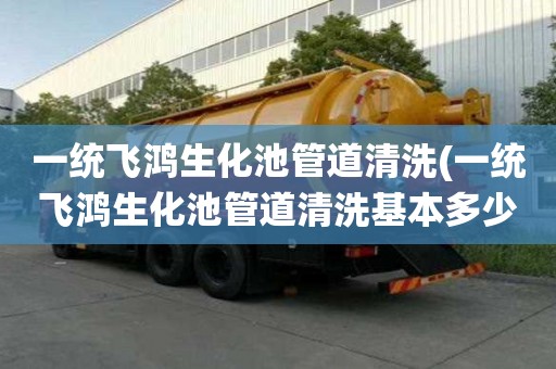 一統(tǒng)飛鴻生化池管道清洗(一統(tǒng)飛鴻生化池管道清洗基本多少錢)