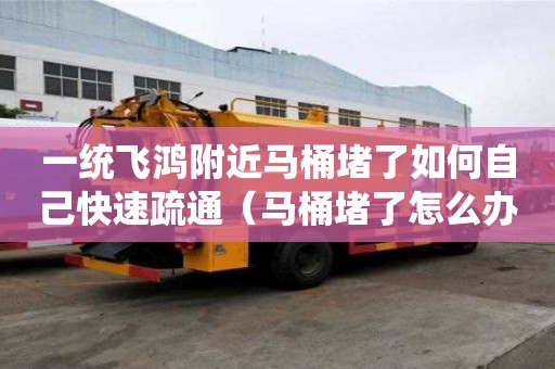 一統飛鴻附近馬桶堵了如何自己快速疏通（馬桶堵了怎么辦水沖不下去滿滿的）
