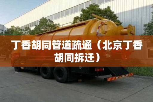 丁香胡同管道疏通(北京丁香胡同拆遷) 丁香胡同管道疏通(北京丁香胡同拆遷)