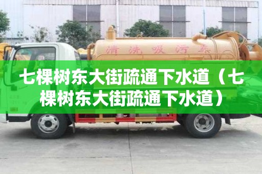 七棵樹東大街疏通下水道（七棵樹東大街疏通下水道）