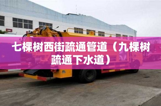 七棵樹西街疏通管道（九棵樹疏通下水道）