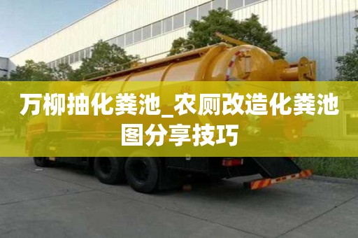 萬(wàn)柳抽化糞池_農(nóng)廁改造化糞池圖分享技巧