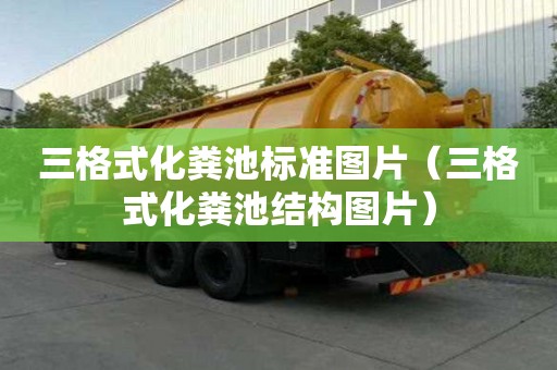 三格式化糞池標(biāo)準(zhǔn)圖片（三格式化糞池結(jié)構(gòu)圖片）