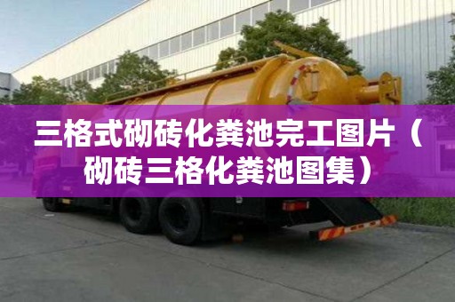 三格式砌磚化糞池完工圖片（砌磚三格化糞池圖集）