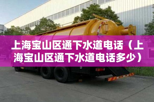 上海寶山區(qū)通下水道電話（上海寶山區(qū)通下水道電話多少）
