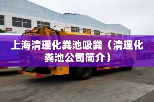 上海清理化糞池吸糞（清理化糞池公司簡介）