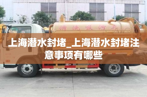 上海潛水封堵_上海潛水封堵注意事項有哪些