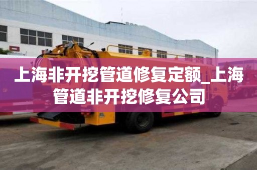 上海非開挖管道修復定額_上海管道非開挖修復公司