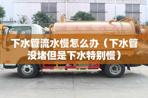 下水管流水慢怎么辦（下水管沒堵但是下水特別慢）