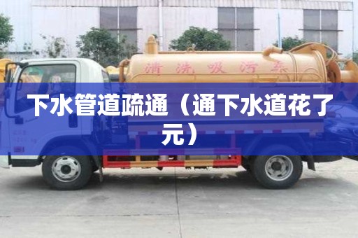 下水管道疏通(通下水道花了元) 下水管道疏通(通下水道花了元)