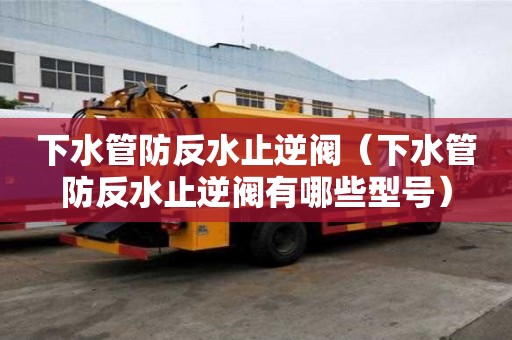 下水管防反水止逆閥（下水管防反水止逆閥有哪些型號）