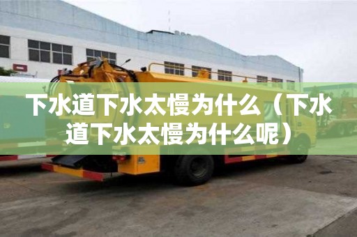 下水道下水太慢為什么（下水道下水太慢為什么呢）