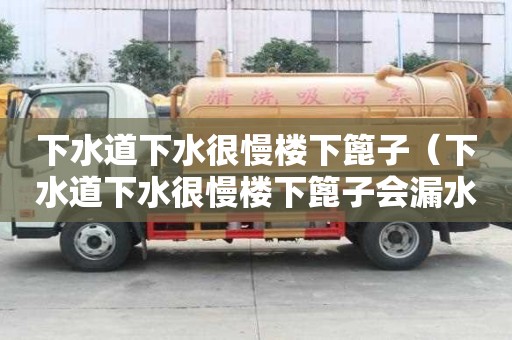 下水道下水很慢樓下篦子（下水道下水很慢樓下篦子會漏水嗎）