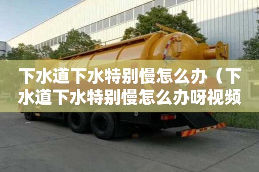 下水道下水特別慢怎么辦（下水道下水特別慢怎么辦呀視頻）