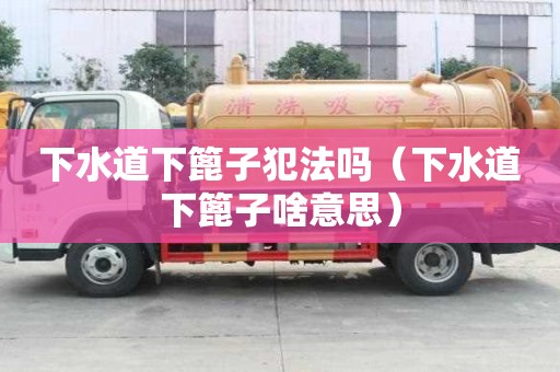 下水道下篦子犯法嗎（下水道下篦子啥意思）