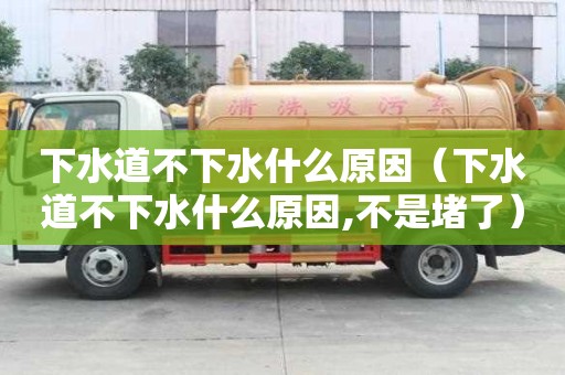 下水道不下水什么原因（下水道不下水什么原因,不是堵了）