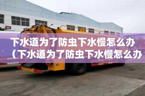 下水道為了防蟲下水慢怎么辦(下水道為了防蟲下水慢怎么辦呢) 下水道為了防蟲下水慢怎么辦(下水道為了防蟲下水慢怎么辦呢)