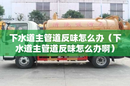 下水道主管道反味怎么辦（下水道主管道反味怎么辦啊）