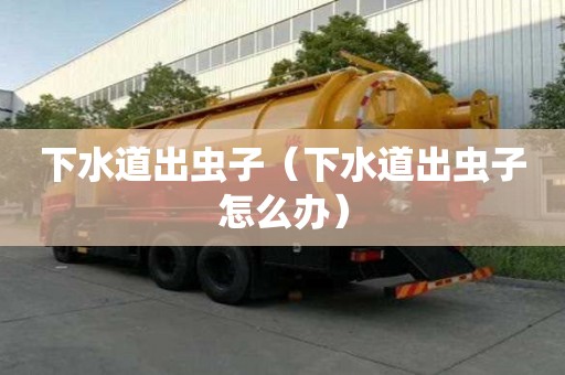 下水道出蟲子（下水道出蟲子怎么辦）