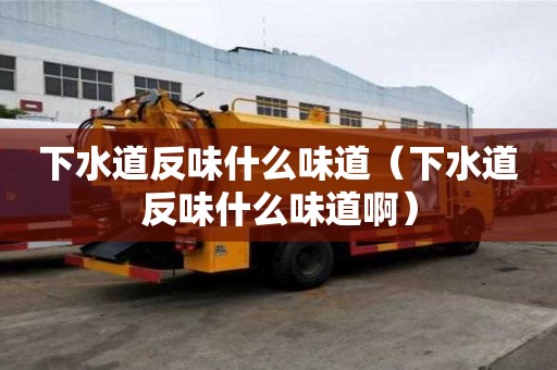 下水道反味什么味道（下水道反味什么味道啊）