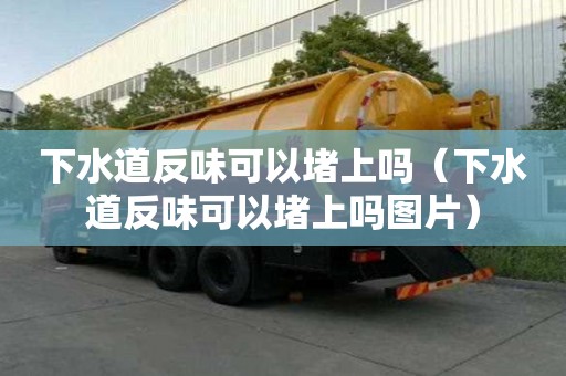 下水道反味可以堵上嗎（下水道反味可以堵上嗎圖片）