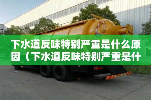下水道反味特別嚴重是什么原因（下水道反味特別嚴重是什么原因造成的）