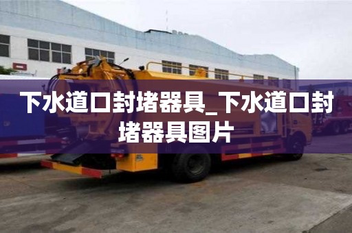 下水道口封堵器具_(dá)下水道口封堵器具圖片