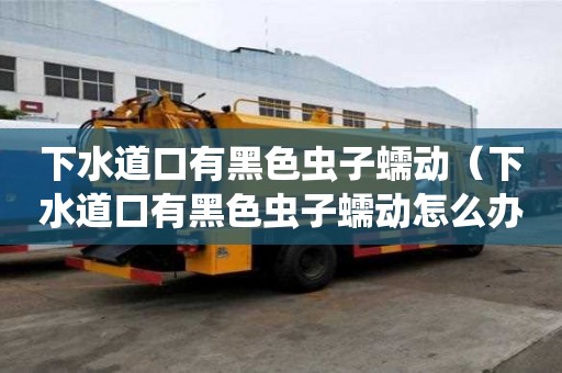 下水道口有黑色蟲子蠕動（下水道口有黑色蟲子蠕動怎么辦）