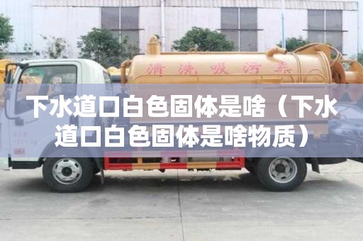 下水道口白色固體是啥(下水道口白色固體是啥物質) 下水道口白色固體是啥(下水道口白色固體是啥物質)