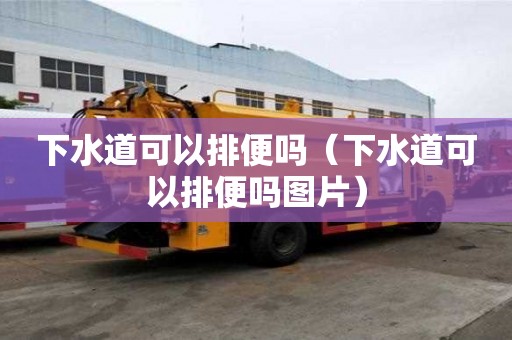 下水道可以排便嗎（下水道可以排便嗎圖片）