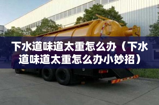 下水道味道太重怎么辦（下水道味道太重怎么辦小妙招）