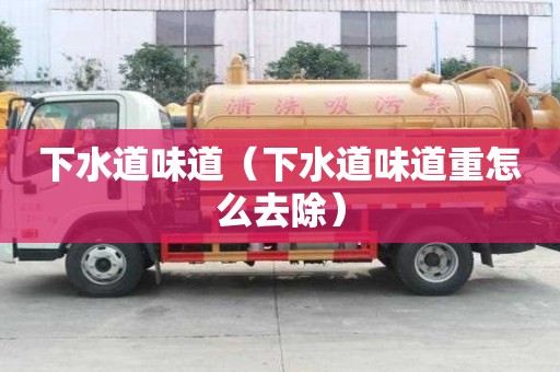 下水道味道(下水道味道重怎么去除) 下水道味道(下水道味道重怎么去除)