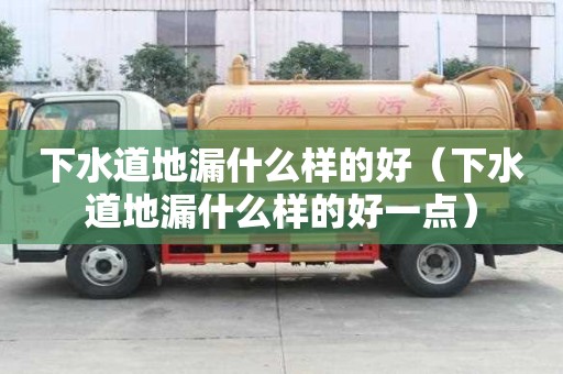下水道地漏什么樣的好（下水道地漏什么樣的好一點）