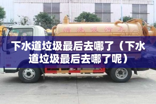 下水道垃圾最后去哪了（下水道垃圾最后去哪了呢）