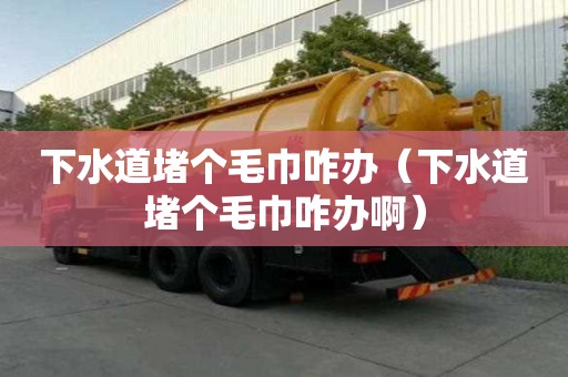 下水道堵個毛巾咋辦（下水道堵個毛巾咋辦?。? >
                        </div>
                        <div   id=