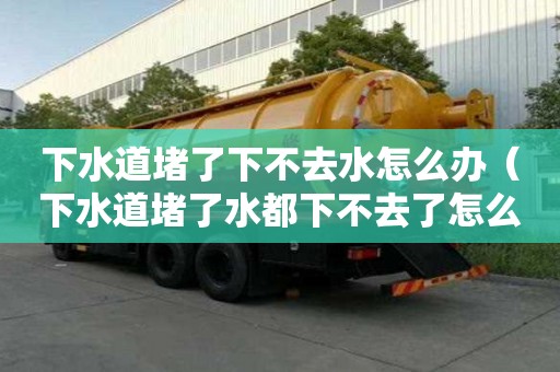 下水道堵了下不去水怎么辦（下水道堵了水都下不去了怎么辦）