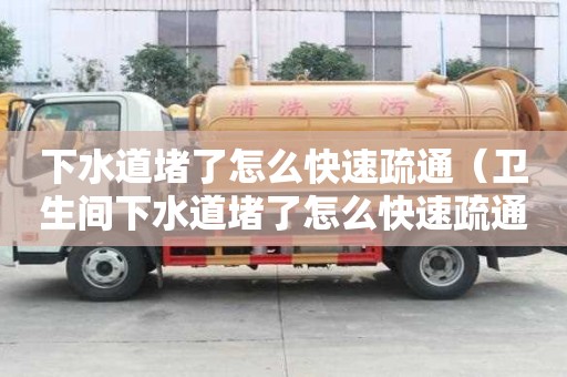 下水道堵了怎么快速疏通（衛(wèi)生間下水道堵了怎么快速疏通）