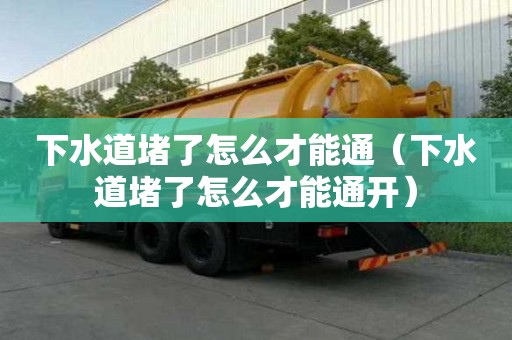 下水道堵了怎么才能通（下水道堵了怎么才能通開）