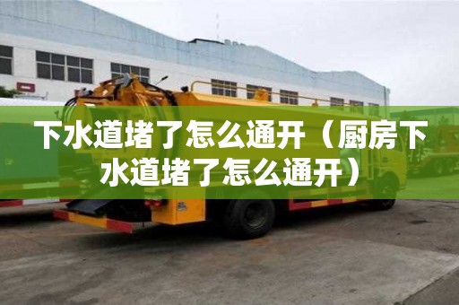 下水道堵了怎么通開(kāi)（廚房下水道堵了怎么通開(kāi)）